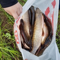 Удилище SHIMANO CATANA EX SPINNING 210H